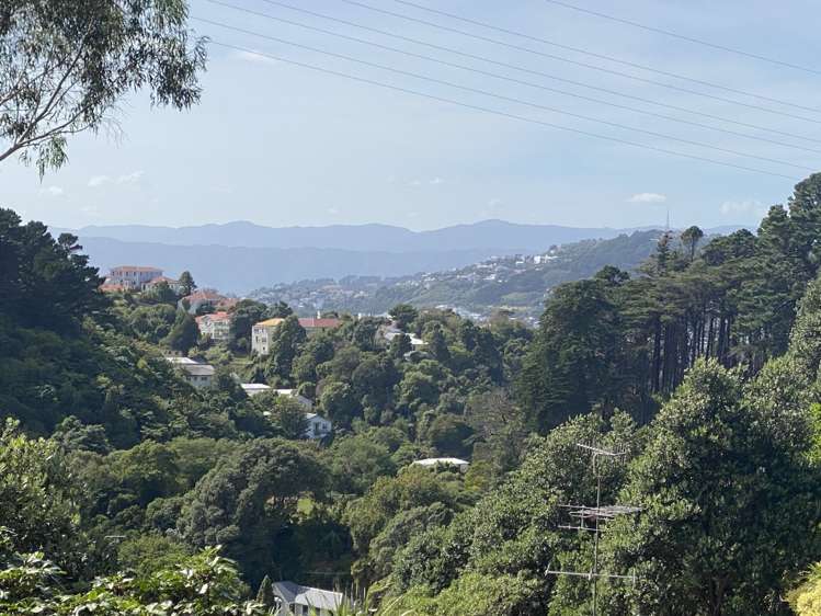 8 Mount Pleasant Road Aro Valley_15