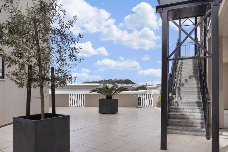 3B/6 Burgoyne Street_5