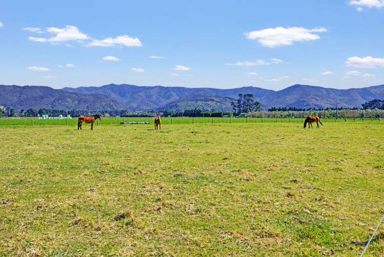79 Longwood East Road Featherston_24