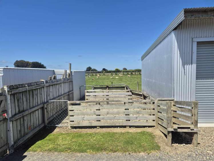 656a Ryal Bush Wallacetown Road Wallacetown_16