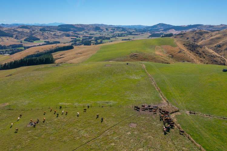 2118 Omihi Road Greta Valley_7