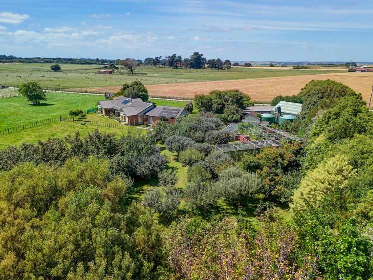 124 State Highway 3 Westmere_23