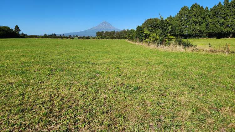 45 and 47 Windsor Road Inglewood_5