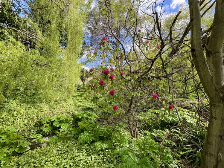 96 Cattle Valley Road Kurow_7