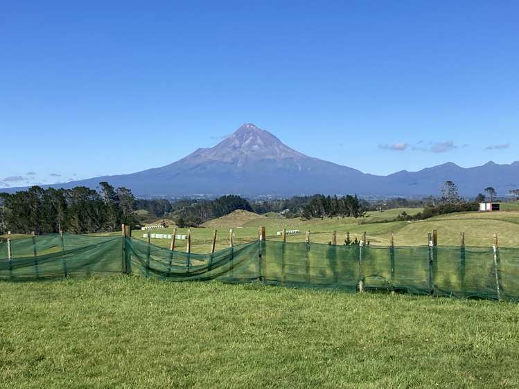 254 Lincoln Road Inglewood_0