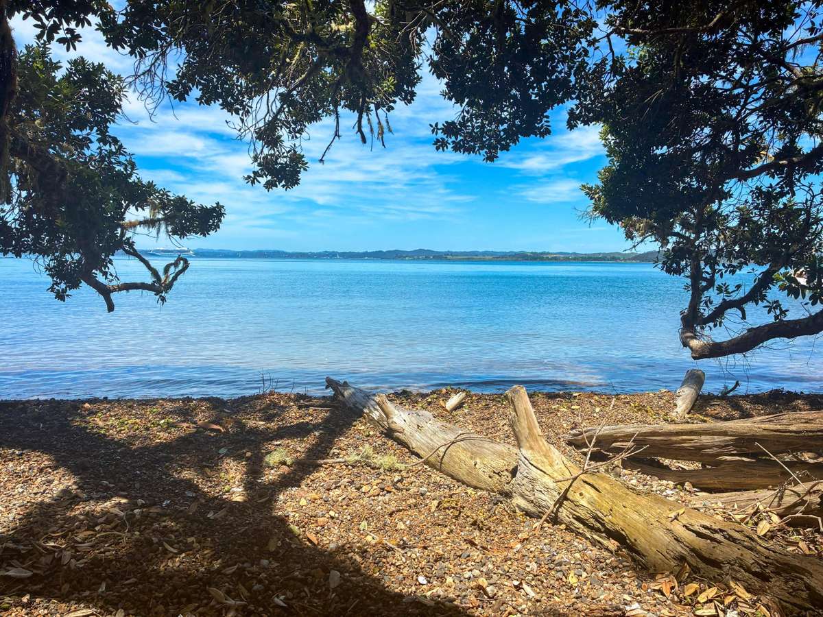 Share 18 Moturoa Island_1