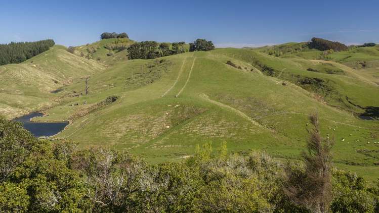 329 North Road Masterton_8