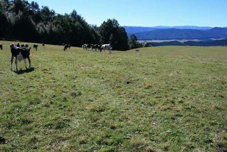 246 Howard Valley Road Kahurangi National Park_14