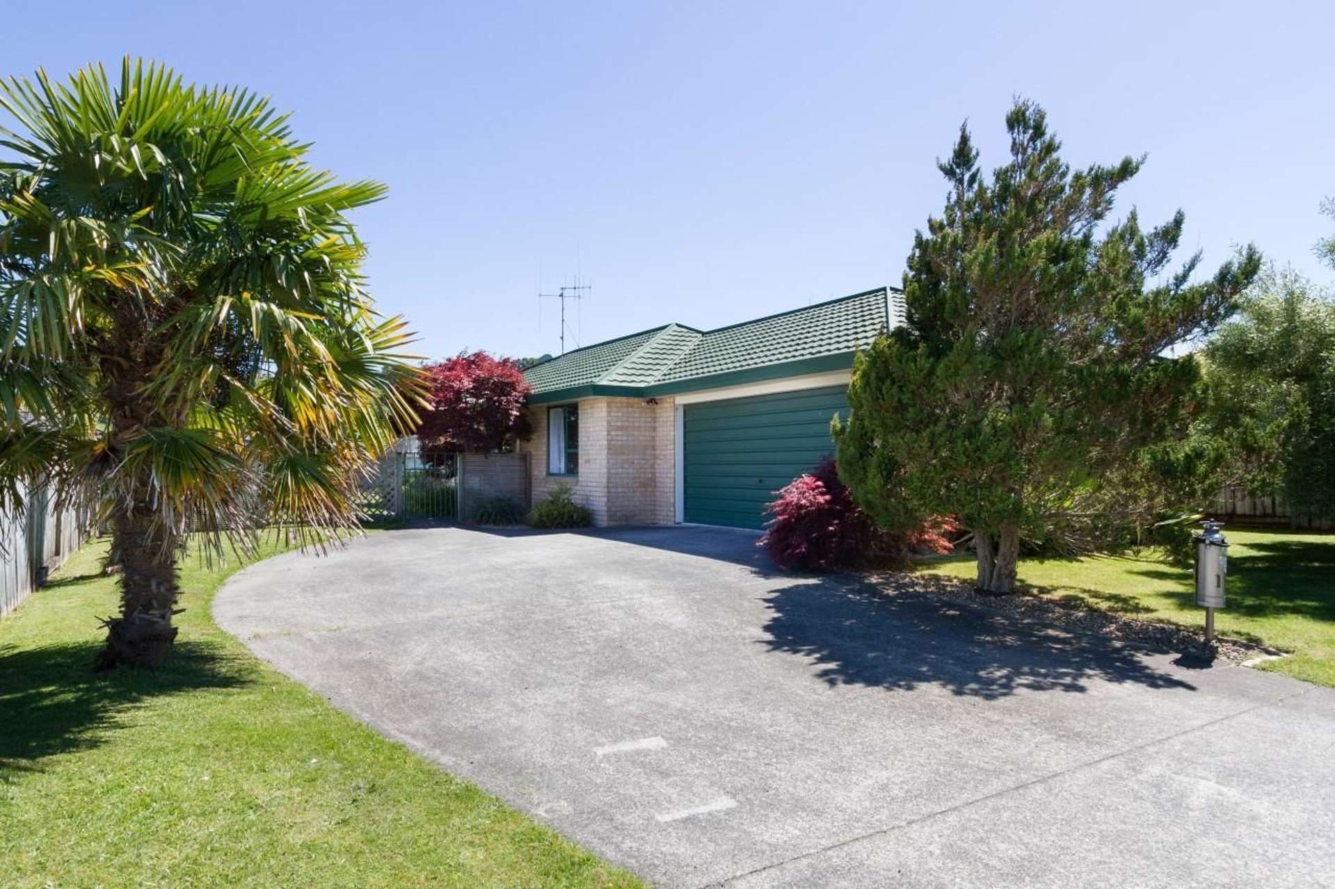 40 Solomon Street Brookfield_0