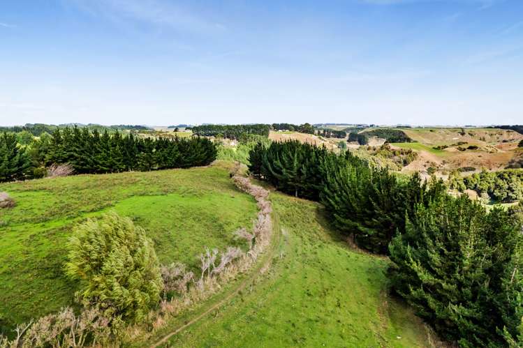 Whakamara Road Hawera_15