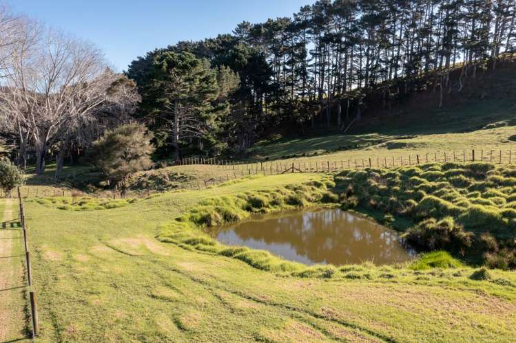 203 Fletcher Road Waimauku_21