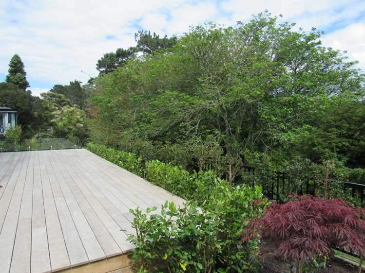 54b Aberdeen Road Campbells Bay_12