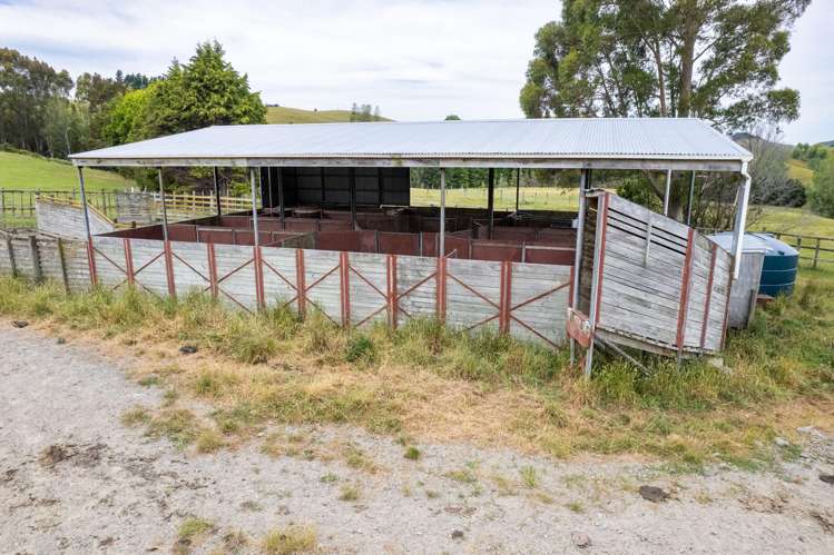 196 Ngapaeruru Road Dannevirke_18