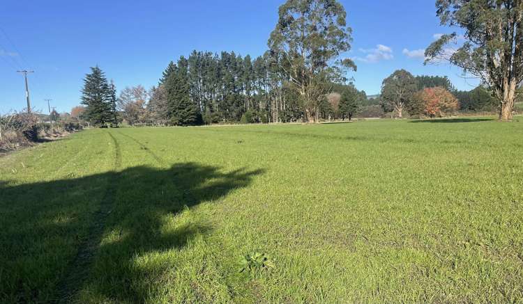 State Highway 1 Kinleith_2