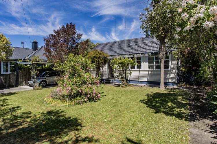 22 Douglas Road Amberley_11