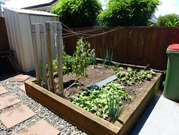 141 Coronation Road Morrinsville_13