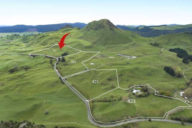 347 Kaahu Road Mangakino_3