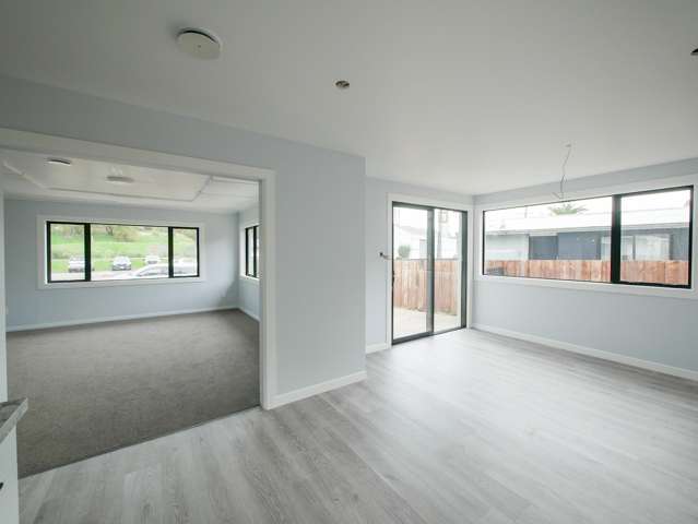 184 Main South Road Green Island_3