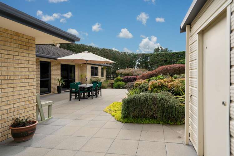 12A Chitty Road Tauwhare_13