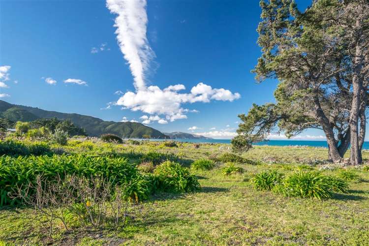 210 Rarangi Beach Road Rarangi_16