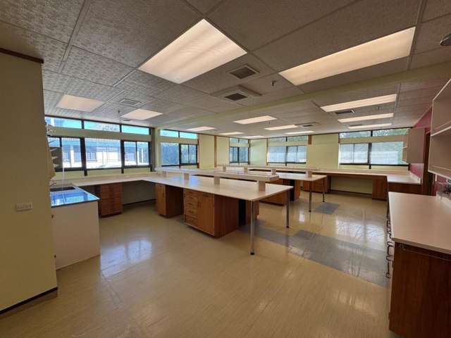 2 Batchelar Road Fitzherbert_2