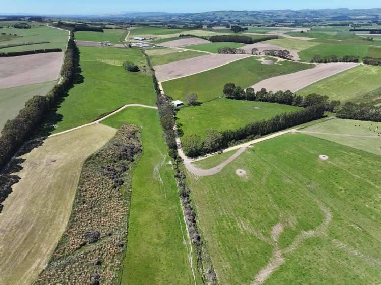 878 Downs Road Edendale_5