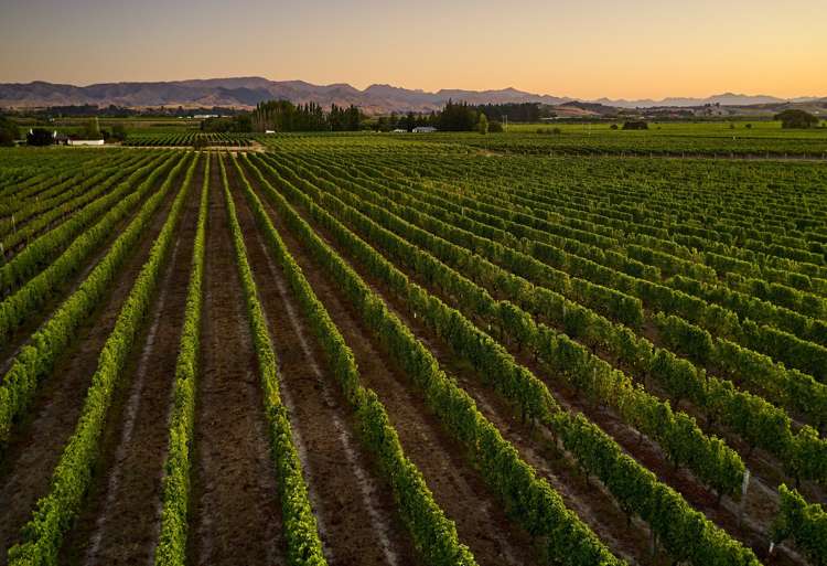 216 Bedford Road Renwick_13