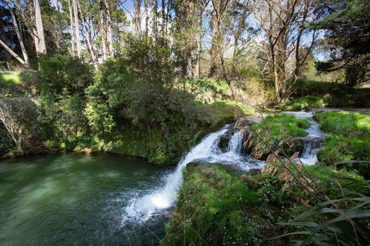 467 Waitahora Valley Road Dannevirke_33