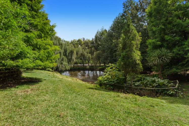 763b White Pine Bush Road Whakatane_25