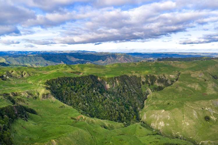 279 Taumatatotara Road Te Kuiti_13