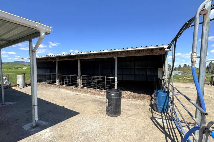 204 Mangatutu Road RD2 Maihiihi_32