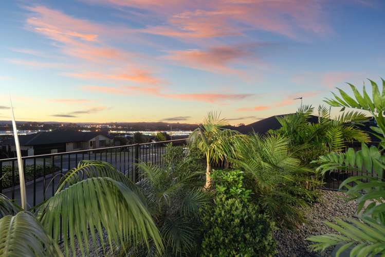 3 Carex Close Pyes Pa_13