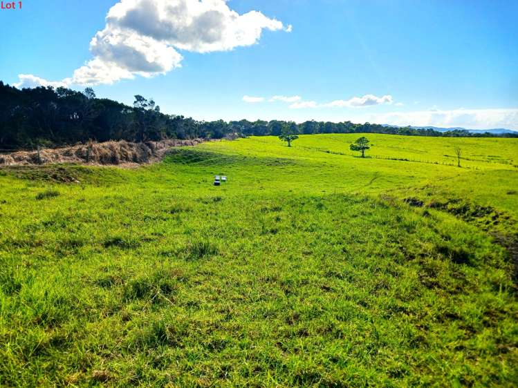 Lots 1-4 Tahanga Road Lake Ohia_12