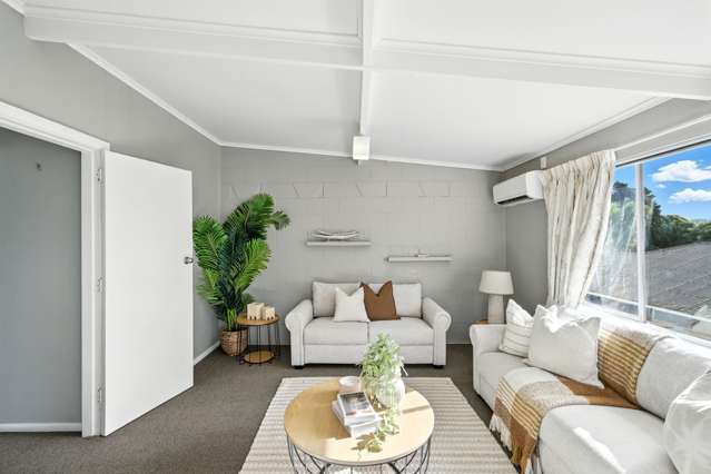 36 Cameron Street Sydenham_4