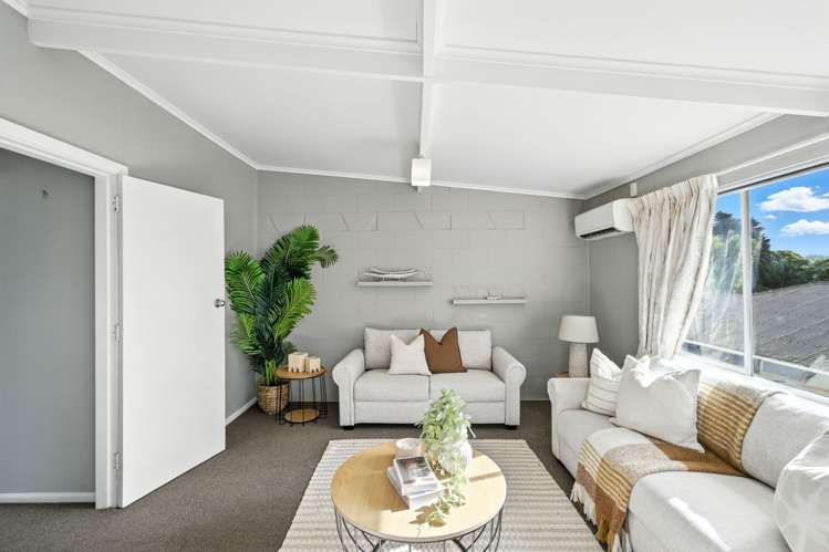 36 Cameron Street Sydenham_4