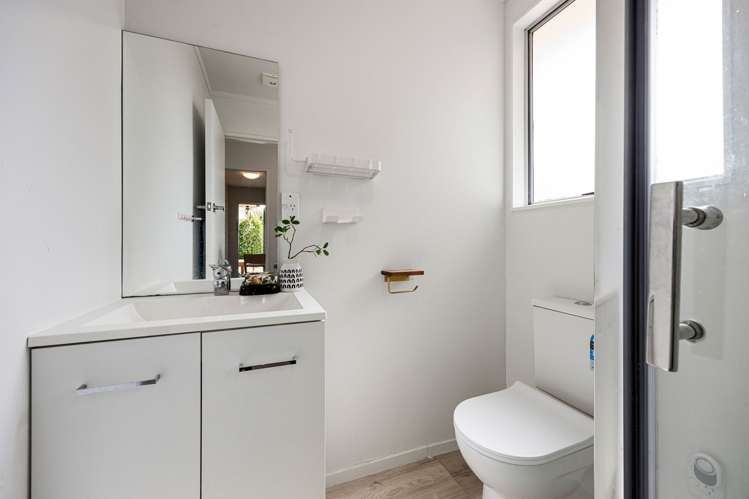 46 Elmwood Crescent Pukete_16