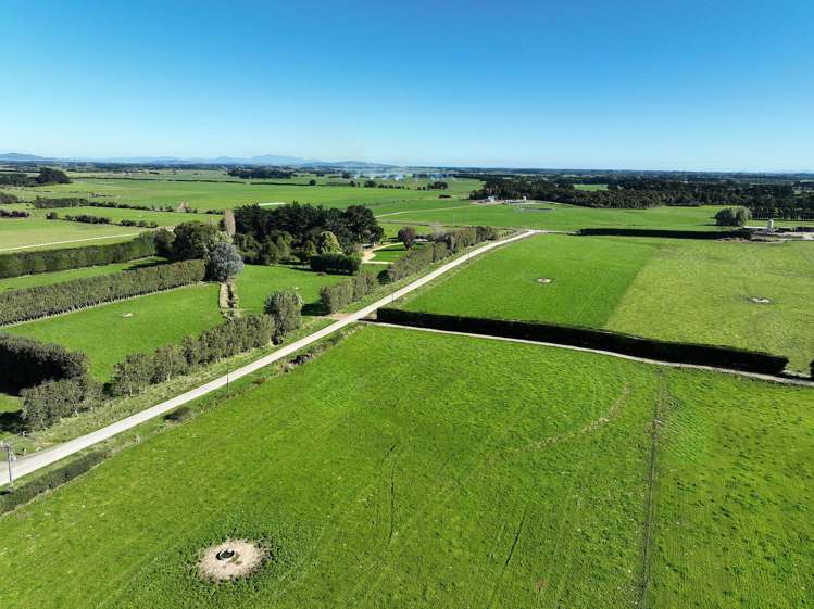 12 Shand Road, Farm 1 Rimu_8