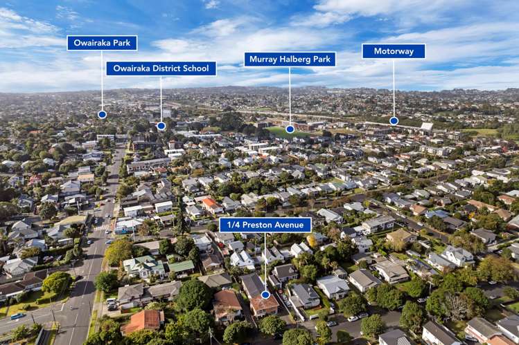 1/4 Preston Avenue Mt Albert_26