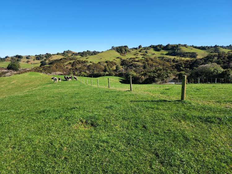 Te Anga Road Waitomo_8