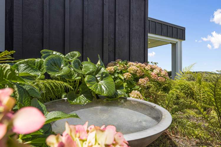 345 Green Road Matakana_26