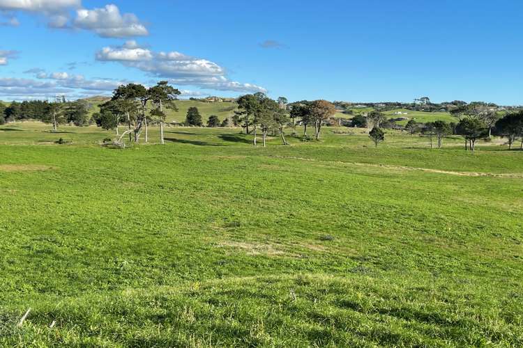 213 Black Swamp Road Mangawhai_6