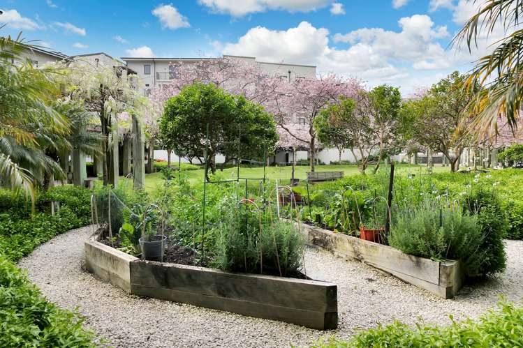 5b/20 Market Place Auckland Central_24