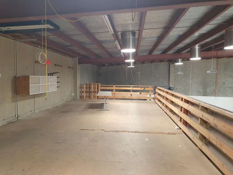 47A Victoria Street Petone_3