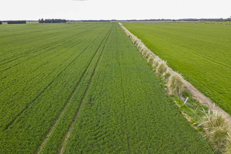 Stranges Road Ashburton_10