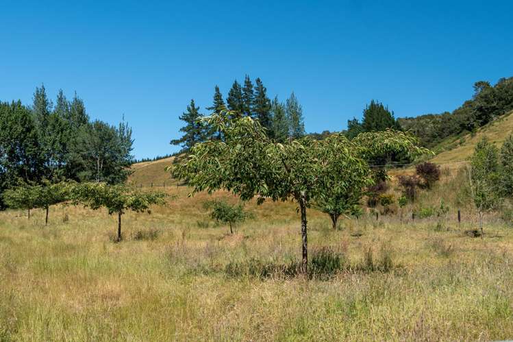 300 Sunday Creek Road Thorpe_41