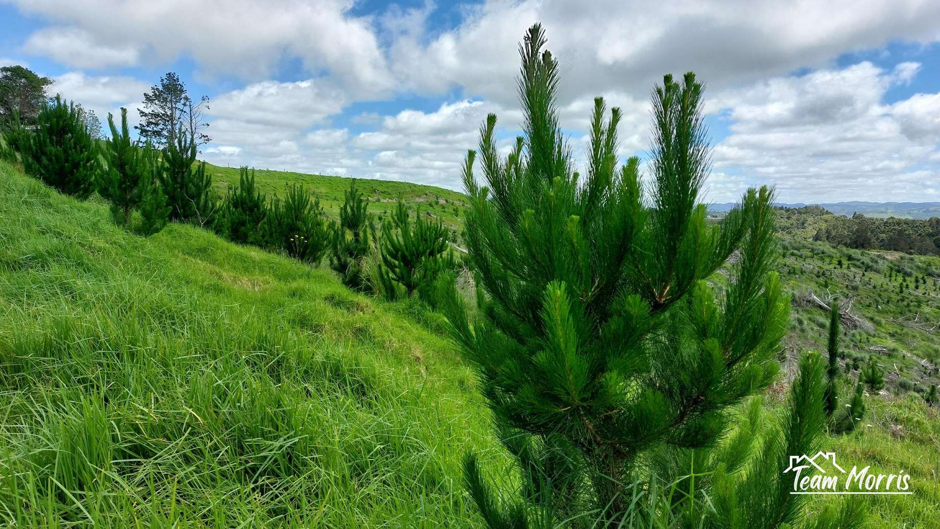 Lot 7/49 Kamea Place Maungaturoto_0