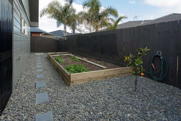 Nautilus Drive Papamoa_6