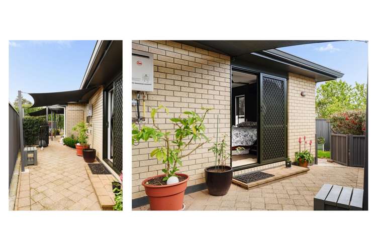 21 Marshall Avenue Greerton_18