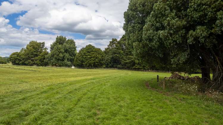 Lot 11 93 Station Road Kaikohe_12