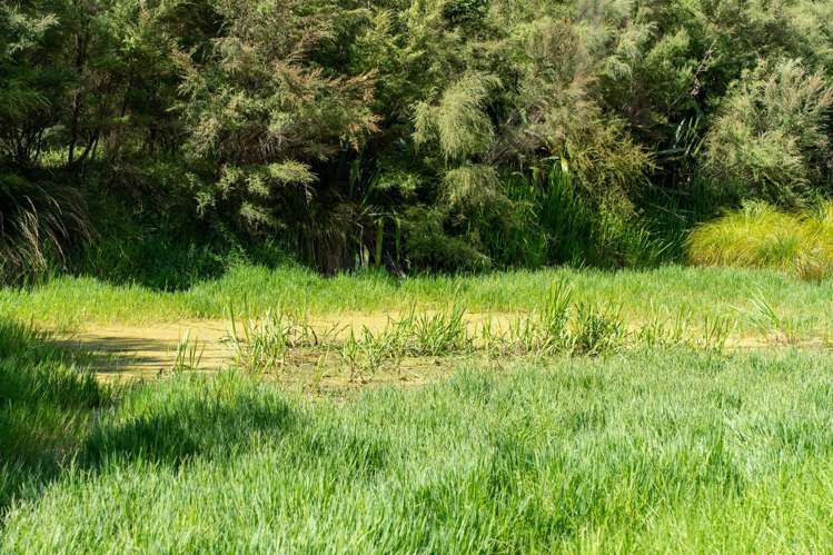 149 Whaka Street Maungaturoto_19